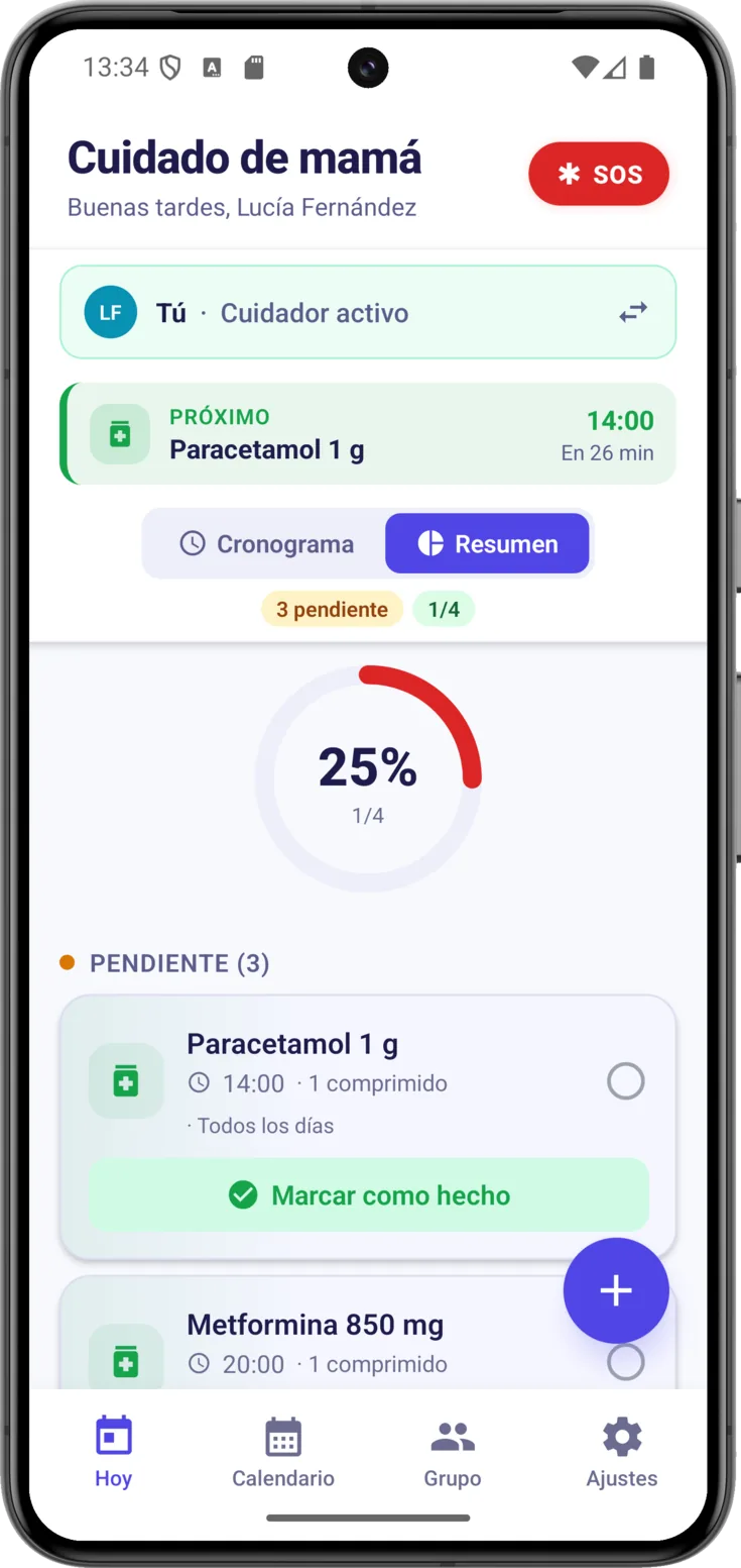 Cronograma / Resumen